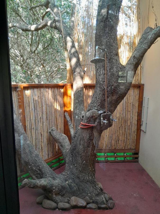 Kosi Bay Casitas Villa Manguzi Exterior photo